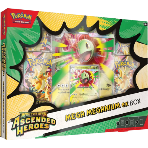 Ascended Heroes Mega Meganium ex Box